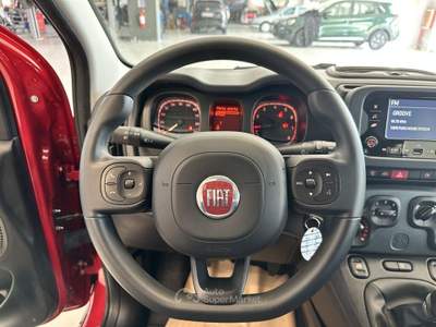 Fiat Panda 1.0 FireFly Hybrid Rosso usata Moncalieri