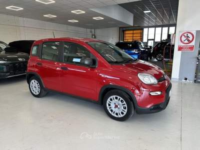 Fiat Panda 1.0 FireFly Hybrid Rosso usata Moncalieri