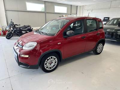 Fiat Panda 1.0 FireFly Hybrid Rosso usata Moncalieri