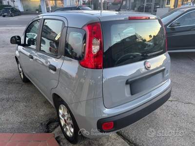 Fiat Panda FireFly S&S Hybrid Easy usata Fiesso d'Artico