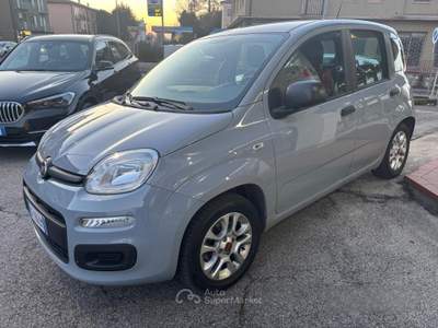 Fiat Panda FireFly S&S Hybrid Easy usata Fiesso d'Artico