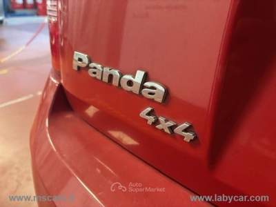 Fiat Panda Panda 1.3 MJT 16V 4x4 Rosso usata Rivoli