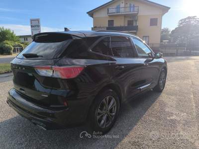 Ford Kuga Full Hybrid 190 CV CVT AWD ST-Line D usata Castel d'Azzano