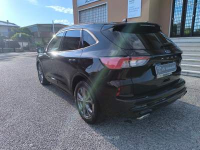 Ford Kuga Full Hybrid 190 CV CVT AWD ST-Line D usata Castel d'Azzano