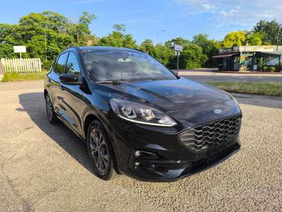 Ford Kuga Full Hybrid 190 CV CVT AWD ST-Line D usata Castel d'Azzano
