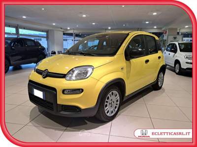Fiat Panda Pandina III 2024 Pandina 1.0 firefly hybrid s Giallo usata Savona