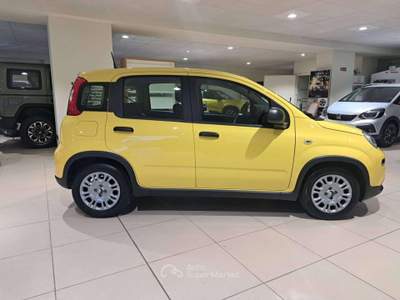 Fiat Panda Pandina III 2024 Pandina 1.0 firefly hybrid s Giallo usata Savona