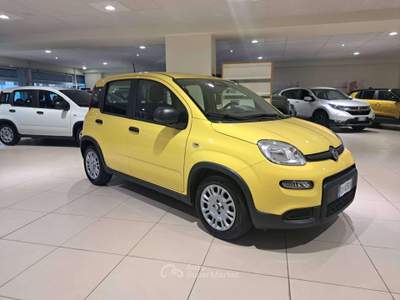 Fiat Panda Pandina III 2024 Pandina 1.0 firefly hybrid s Giallo usata Savona