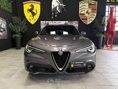 Alfa Romeo Stelvio 2.2 t Business rwd 160cv auto Grigio usata Lesmo