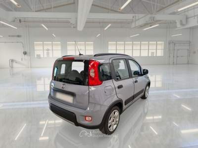 Fiat Panda FIAT PANDA 1.0 FIREFLY 70 CV SES HYBRID CITY LIFE 5 PORTE BERLINA usata Casei Gerola