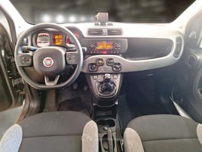 Fiat Panda FIAT PANDA 1.0 70 CV SES HYBRID CITY LIFE 5 PORTE BERLINA usata Verona