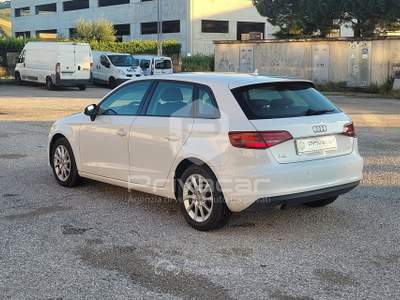 Audi A3 AUDI A3 SPB 1.6 TDI clean diesel Business Bianco usata San Benedetto del Tronto