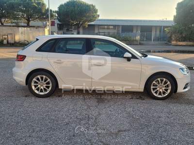 Audi A3 AUDI A3 SPB 1.6 TDI clean diesel Business Bianco usata San Benedetto del Tronto