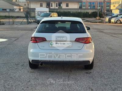 Audi A3 AUDI A3 SPB 1.6 TDI clean diesel Business Bianco usata San Benedetto del Tronto