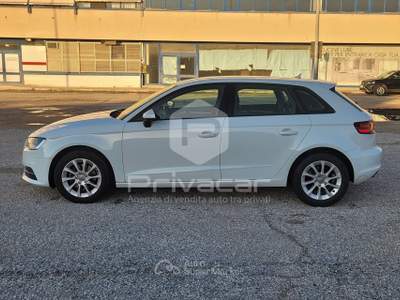 Audi A3 AUDI A3 SPB 1.6 TDI clean diesel Business Bianco usata San Benedetto del Tronto
