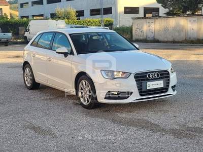 Audi A3 AUDI A3 SPB 1.6 TDI clean diesel Business Bianco usata San Benedetto del Tronto