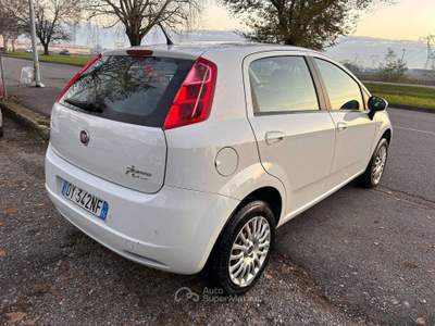 Fiat Punto Punto III 2014 5p 1.3 mjt II 16v Street eco s Bianco usata Inzago