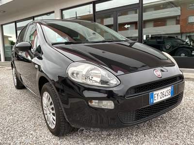 Fiat Punto 5 porte Lounge Oro usata Tricesimo