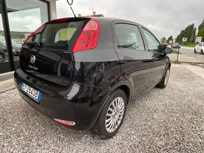 Fiat Punto 5 porte Lounge Oro usata Tricesimo