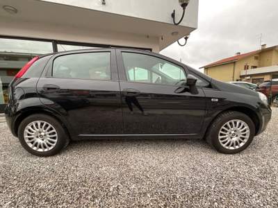 Fiat Punto 5 porte Lounge Oro usata Tricesimo