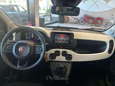 Fiat Panda Pandina Cross 1.0 firefly hybrid Verde usata Mornago