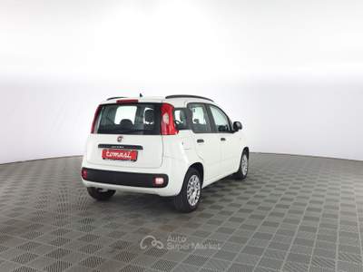 Fiat Panda Panda 1.2 EasyPower Easy Bianco usata Verona