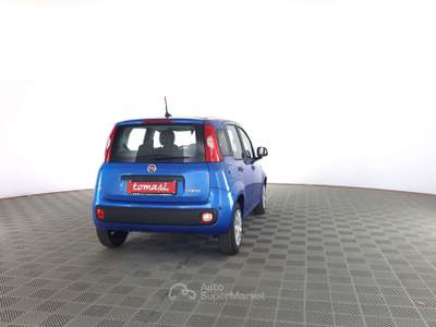 Fiat Panda Pandina 1.0 FireFly 65 CV Hybrid Icon Blu/Azzurro usata Roma
