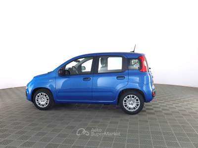 Fiat Panda Pandina 1.0 FireFly 65 CV Hybrid Icon Blu/Azzurro usata Roma