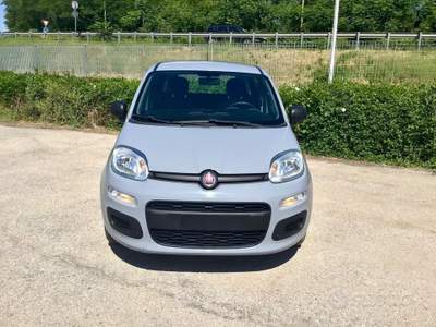 Fiat Panda FireFly S&S Hybrid usata TURRIVALIGNANI
