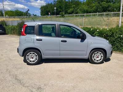Fiat Panda FireFly S&S Hybrid usata TURRIVALIGNANI