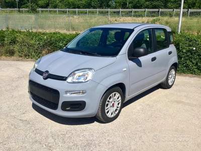 Fiat Panda FireFly S&S Hybrid usata TURRIVALIGNANI