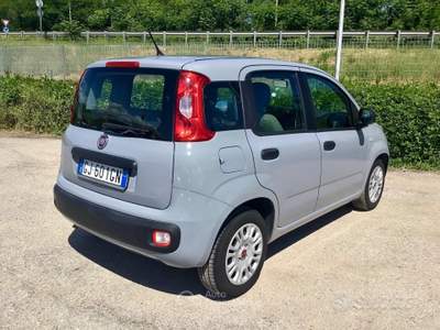 Fiat Panda FireFly S&S Hybrid usata TURRIVALIGNANI