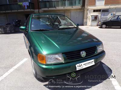 Volkswagen Polo 1.0 50CV PERFETTA! Verde usata Livorno