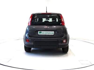 Fiat Panda 1.0 FireFly Hybrid City Life  *OK NEOPA.* Grigio usata Andalo Valtellino
