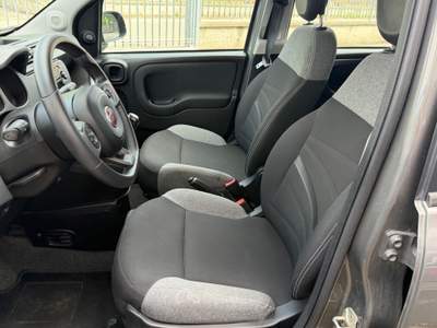 Fiat Panda FireFly S&S Hybrid City Life PREZZO REALE Grigio usata Alessandria