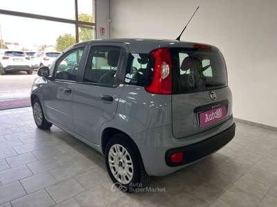 Fiat Panda Panda 2019 1.2 BENZINA SENZA OBBLIGO DI FINANZIAMENTO Grigio usata Terracina