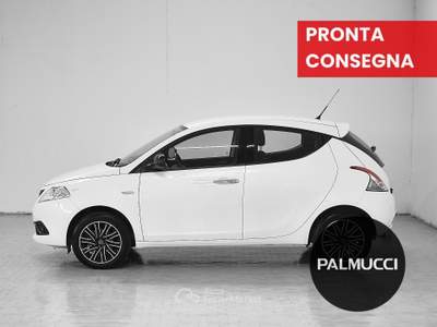 Lancia Ypsilon 1.2 69cv Start& Stop Gold Bianco usata Prato