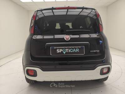 Fiat Panda III 2024 Panda 1.0 firefly hybrid s&s 70cv 5p.ti Nero usata Erba