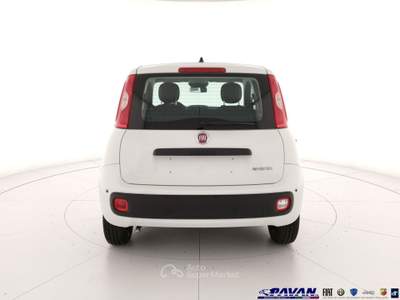 Fiat Pandina Panda 1.0 FireFly 65 CV Hybrid Icon Bianco usata Piove di Sacco