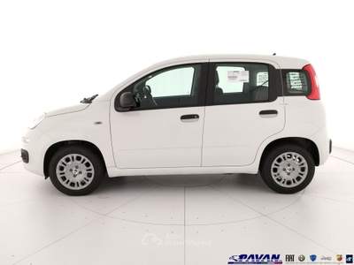 Fiat Pandina Panda 1.0 FireFly 65 CV Hybrid Icon Bianco usata Piove di Sacco