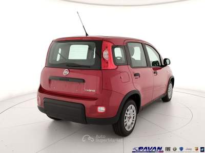 Fiat Pandina Panda 1.0 FireFly 65 CV Hybrid Icon Rosso usata Piove di Sacco