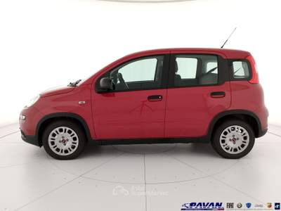 Fiat Pandina Panda 1.0 FireFly 65 CV Hybrid Icon Rosso usata Piove di Sacco