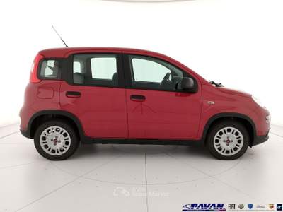 Fiat Pandina Panda 1.0 FireFly 65 CV Hybrid Icon Rosso usata Piove di Sacco