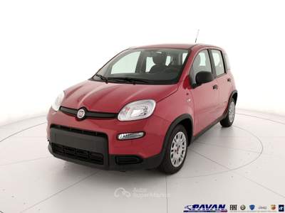 Fiat Pandina Panda 1.0 FireFly 65 CV Hybrid Icon Rosso usata Piove di Sacco