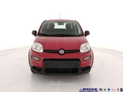 Fiat Pandina Panda 1.0 FireFly 65 CV Hybrid Icon Rosso usata Piove di Sacco