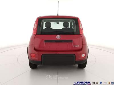 Fiat Pandina Panda 1.0 FireFly 65 CV Hybrid Icon Rosso usata Piove di Sacco
