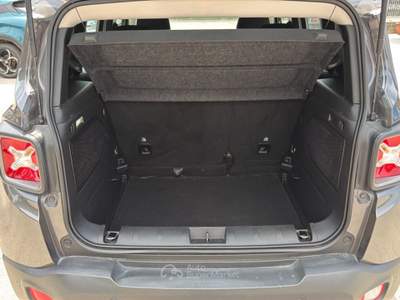 Jeep Renegade 1.6 MJet 120cv Limited Grigio usata Cercola