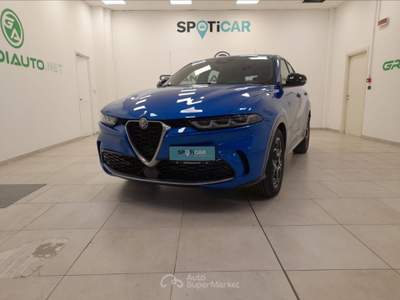 Alfa Romeo Tonale 1.6 Ti 130cv tct6 Blu/Azzurro usata Alessandria