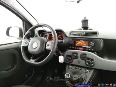 Fiat Panda 1.0 FireFly S&S Hybrid Grigio usata Piove di Sacco
