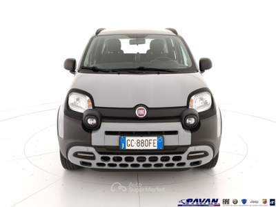 Fiat Panda 1.0 FireFly S&S Hybrid Grigio usata Piove di Sacco